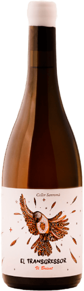 Celler Sanromà El Transgressor