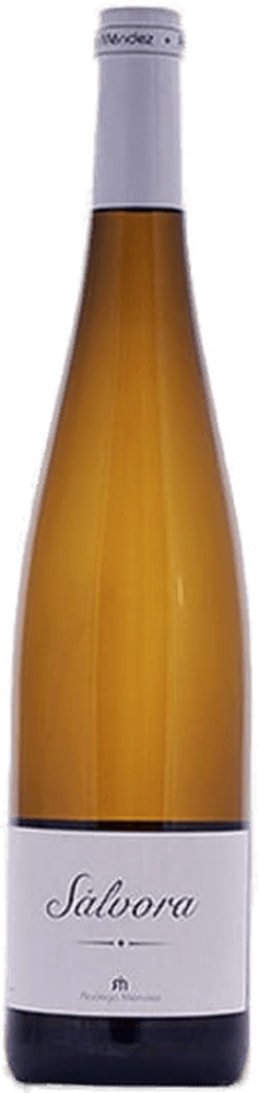 Rodrigo Méndez Sálvora