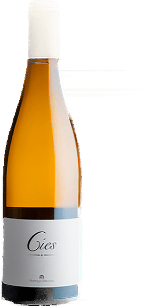 Rodrigo Méndez Cíes Blanco