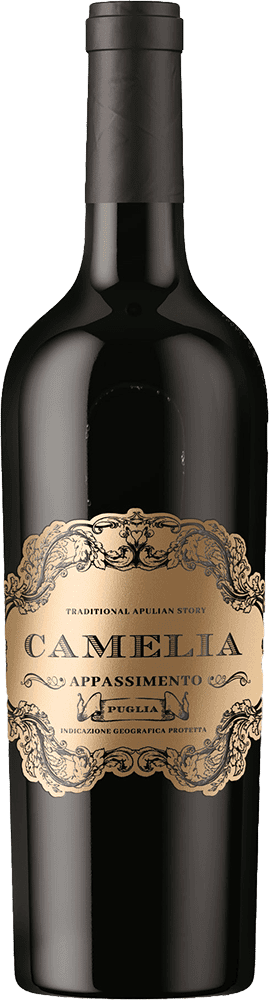 Camelia Appassimento