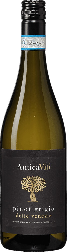 Cantina di Verona Antica Viti