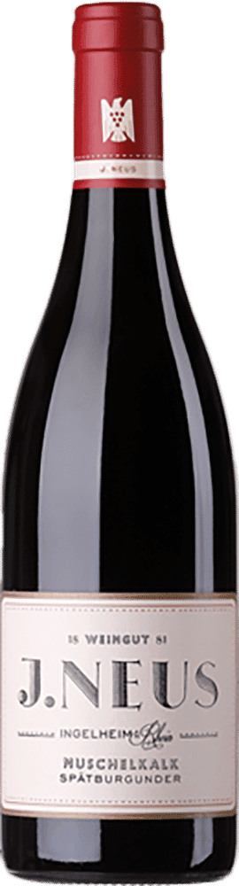 Weingut J.Neus Spätburgunder 'Muschelkalk'