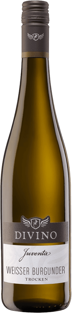 Divino Weisser Burgunder trocken 'Juventa'