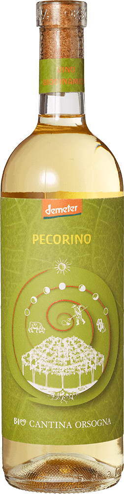 Cantina Orsogna Pecorino