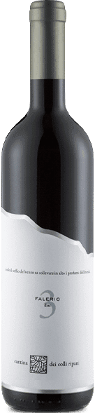 Cantina dei Colli Ripani Capitolo № 3