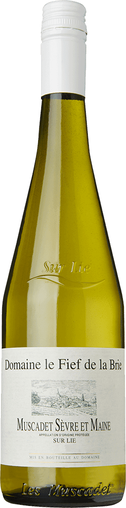 Domaine le Fief de la Brie