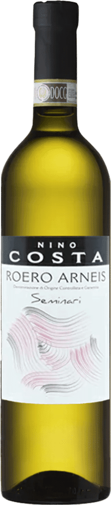 Nino Costa Seminari