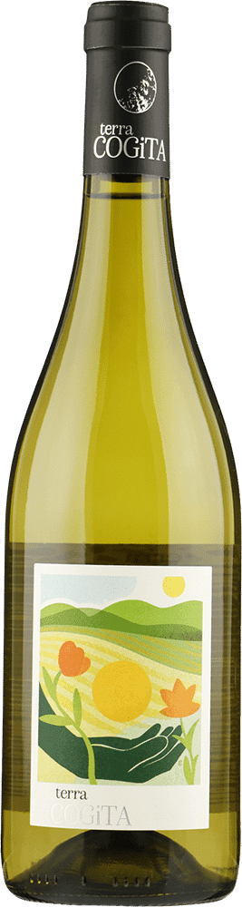 Preignes le Vieux Soreli 'Terra Cogita'