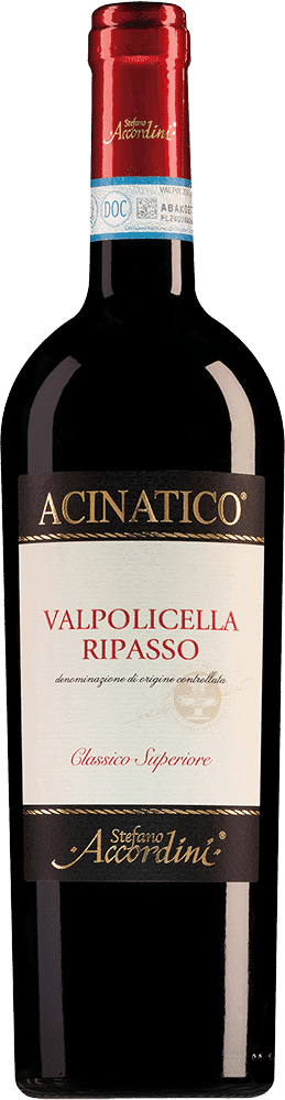 Stefano Accordini Acinatico Valpolicella Ripasso