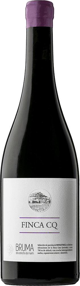 Viña Elena Finca CQ