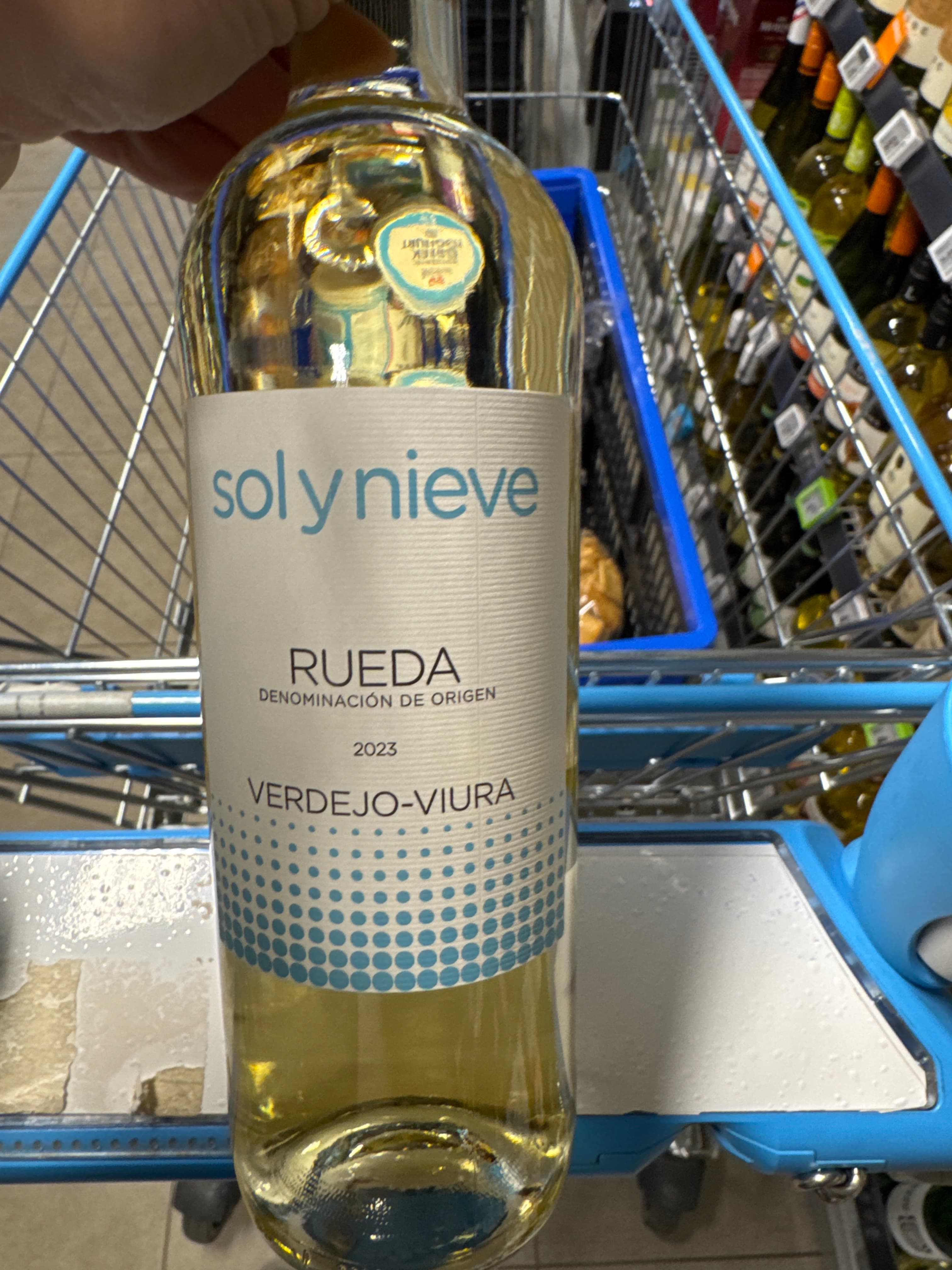 Sol y Nieve Verdejo - Viura